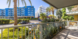 Marina 41 Gallery 18