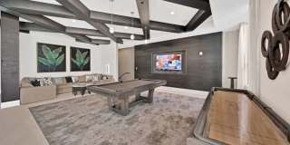 Palmera Gallery 16
