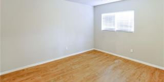 1506 Lemon Tree Lane Gallery 20