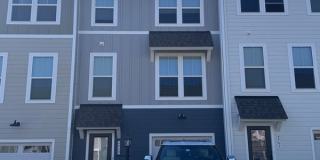 4959 Lexi Ln - 1 Gallery 3