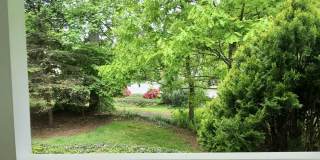 310 Mountain Alder Lane Gallery 8
