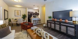 Brazos Crossing Gallery 33