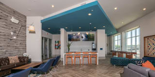 One 305 Central Gallery 16