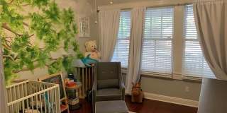 3114 CADIZ Street Gallery 8
