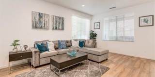 177 Carmine - 1 Gallery 17