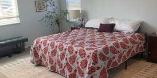 Beautiful, Light-Filled 4 bed, 2 bath North Boulder Home! Gallery 8