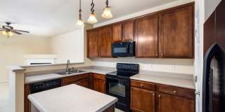 1619 Snowmass Way Gallery 4