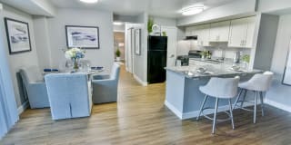 Verona at District Gallery 16