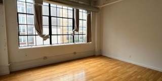 The Wolf Building Gallery 1