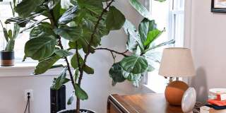 1734 BOLTON Street unit: 3R Gallery 32