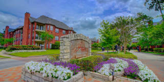 The Park at Research Forest Apartments Gallery 31