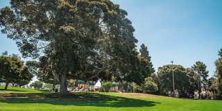 Canyon Ridge Gallery 26