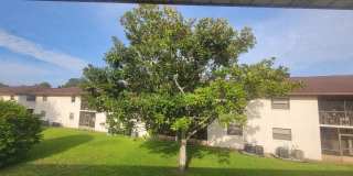 Marcell Gardens Gallery 1