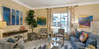 Aster Apartments Gallery 21