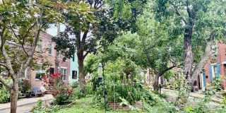 719 Sears Street Gallery 23