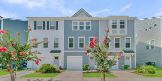 1247 Tice Ln Gallery 1