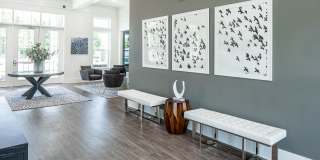 Killarney Woods Gallery 13