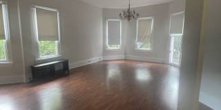 1034 S Carrollton Ave Unit D Gallery 2