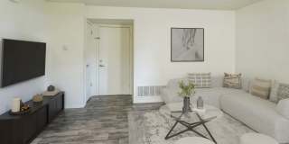 Springwood Gallery 6