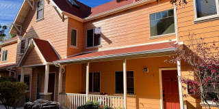 Mission Orchard Gallery 9