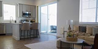 Zora Encanto Gallery 23