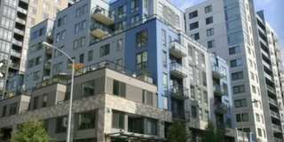 81 Clay Street Gallery 27