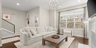 2539 Ellijay Drive Gallery 6