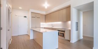 SKAIA Gallery 72