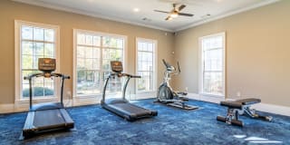 Evergreen Terrace Gallery 16