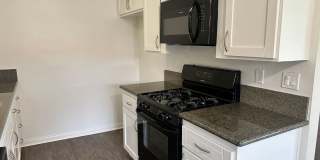 Tierra Palms Gallery 1