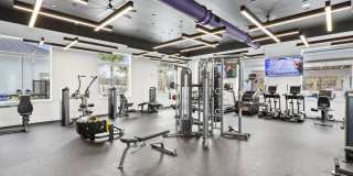 Douglas Grand at Telecom Parkway Gallery 8