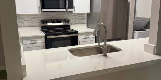 Palms of Clearwater Gallery 60