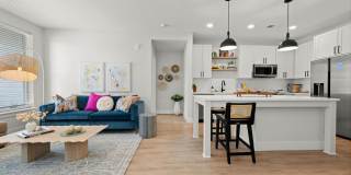 NOVEL Morrisville Gallery 5