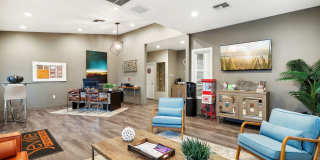 Seville at Mace Ranch Gallery 32