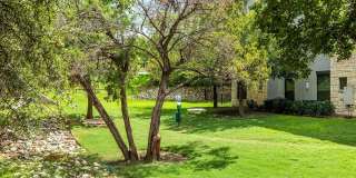 Lantana Hills Gallery 16