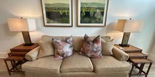 Beautifully Furnished 1/1 Apartment in Downtown Broad St.- $2,350 Gallery 9