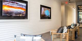 The Arnold Gallery 28