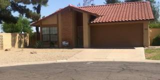 Beautiful 55+ Ahwatukee neighborhood spacious 2/br 2/ba home -  Rent Includes membership to Ahwatukee Recreation Center Gallery 4