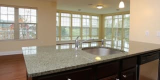 The Springs Gallery 16