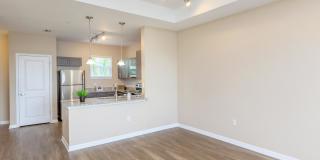 Fountain Lake Bradenton Gallery 60