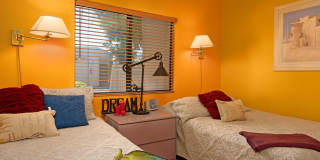 28859 Desert Princess Drive Gallery 16
