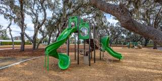 12619 HAMMOCK PARK DRIVE Gallery 40