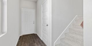 2434 Dry Moss Gallery 3