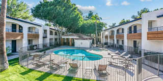 Tides on East Cactus Gallery 7