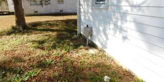 423 Bouy Street - Cute Bungalow! 423 Bouy Street - Cute Bungalow! Gallery 30