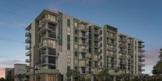 Griffin 441 Gallery 1