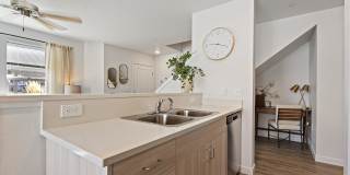 Amazon Falls Gallery 4