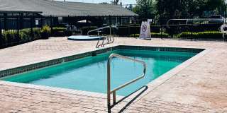 Charming Condo in Terrific Salmon Creek Location Gallery 22