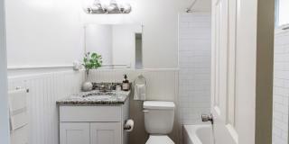 The Meadows Gallery 5