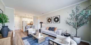 Aven at Newton Highlands Gallery 6